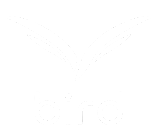 team bird